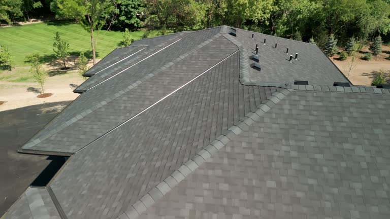 Best Steel Roofing  in Mclendon Chisholm, TX