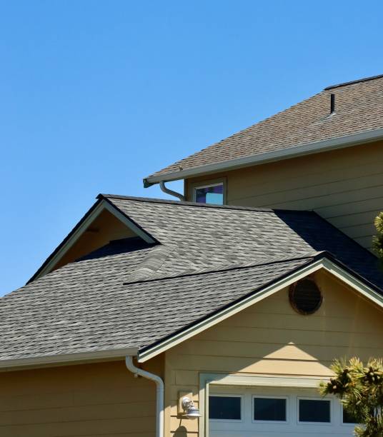 Best Roof Ventilation Installation  in Mclendon Chisholm, TX